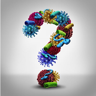 452c168d-4057-437a-9d12-8c7722f3a073.png image.png
