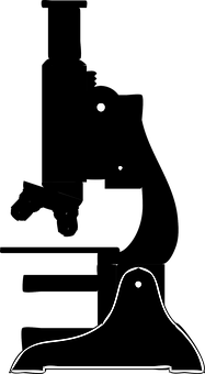 12.png
